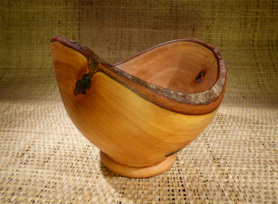 bol à bord d'écorce en bois de cannelle